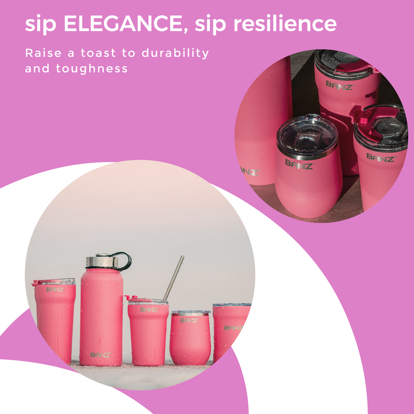 Picnic Wine Insulated Stainless Tumbler 12oz